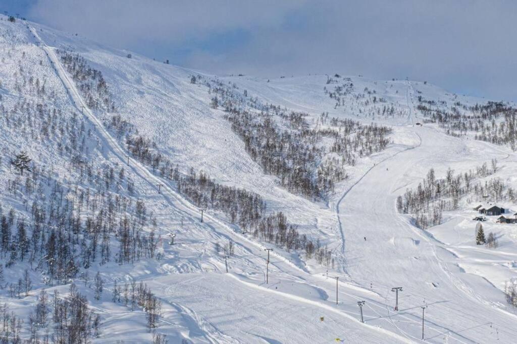 شقة Leilighet - Panorama View - Sogndal Skisenter Hodlekve المظهر الخارجي الصورة