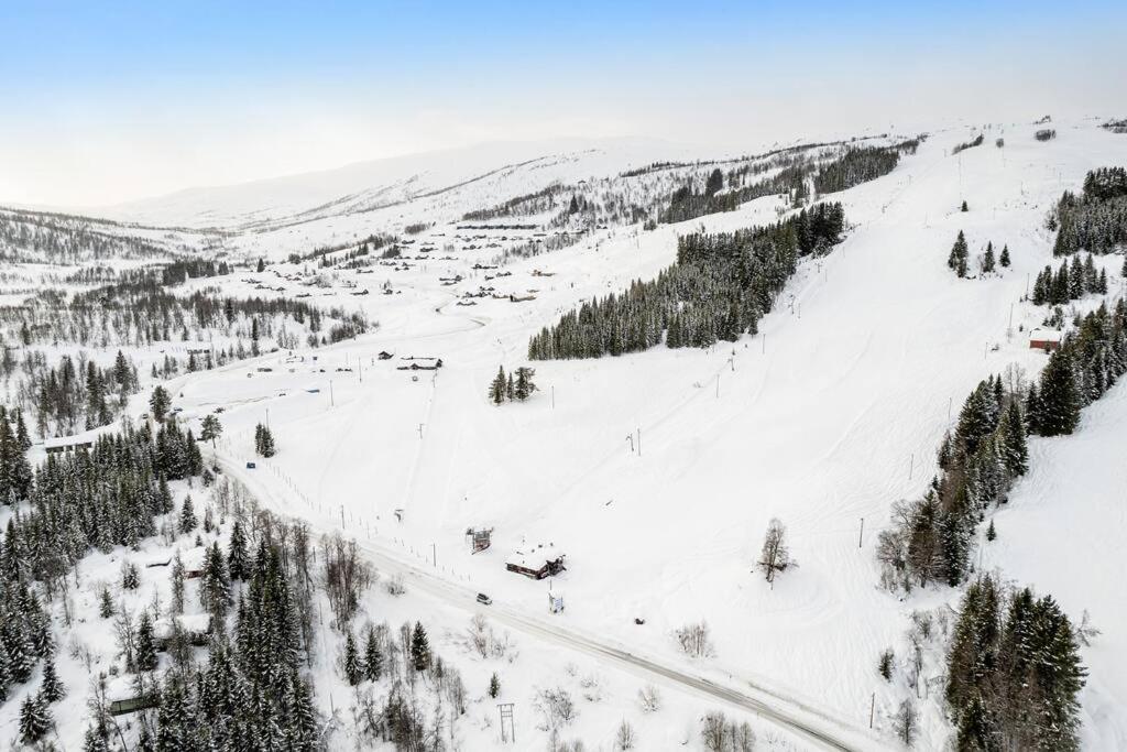 شقة Leilighet - Panorama View - Sogndal Skisenter Hodlekve المظهر الخارجي الصورة